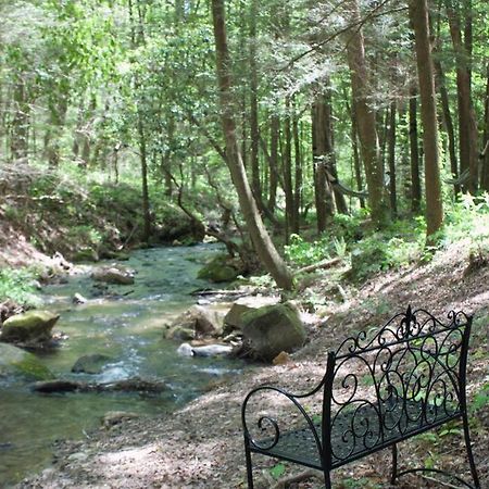 Private Creekside Cabin+Hot Tub,Pool Table, & Pets Ellijay Buitenkant foto