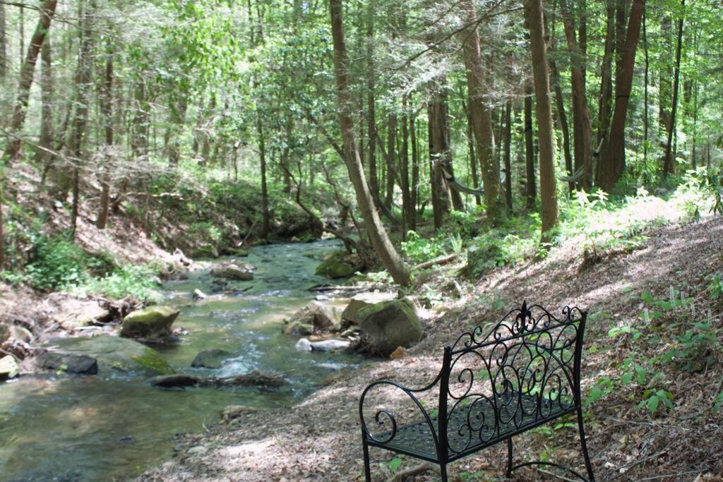 Private Creekside Cabin+Hot Tub,Pool Table, & Pets Ellijay Buitenkant foto