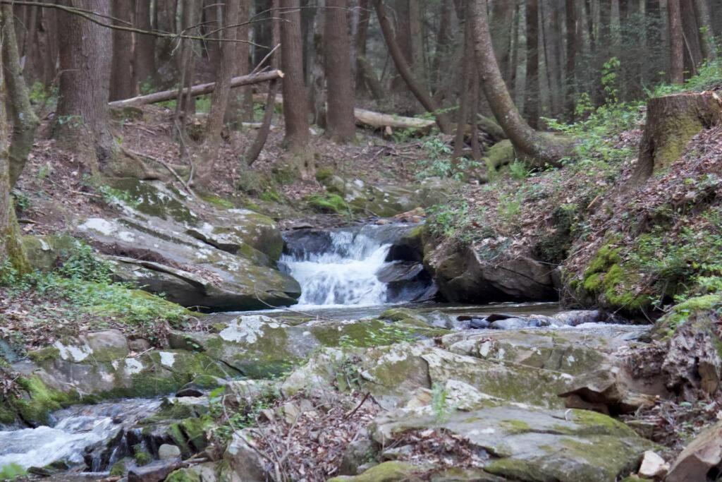 Private Creekside Cabin+Hot Tub,Pool Table, & Pets Ellijay Buitenkant foto